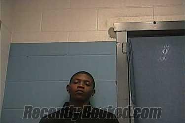 Recent Mugshot Image for RUBYUNNIA MCHENRY in Ouachita County, Arkansas