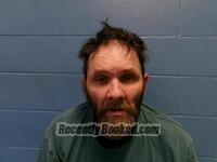 Recent Mugshot Image for DAVID M SIMS in Poinsett County, Arkansas