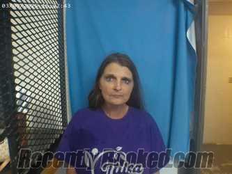 Recent Mugshot Image for NATASHA SMITH in Polk County, Arkansas