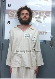 Recent Mugshot Image for FRANK BLOOM in Randolph County, Arkansas