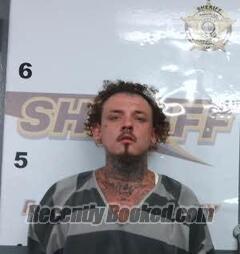 Recent Mugshot Image for COREY HARRIS in Randolph County, Arkansas