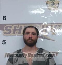 Recent Mugshot Image for DRAKE EMERICK in Randolph County, Arkansas
