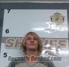 Recent Mugshot Image for EARL LOKRANTZ in Randolph County, Arkansas