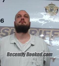 Recent Mugshot Image for PAUL BREESE in Randolph County, Arkansas