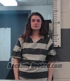 Recent Booking / Mugshot for JAMIE SIMMONS in Randolph County, Arkansas