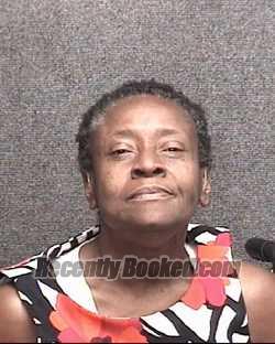 Recent Mugshot Image for BRIGET VENZLAR MCKENZIE in Horry County, South Carolina