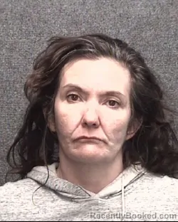 Recent Mugshot Image for ELIZABETH MARIE SETTLE in Horry County, South Carolina