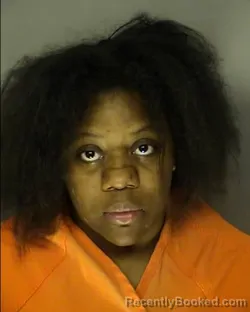 Recent Mugshot Image for ERICA RENAY DOUGLAS in Horry County, South Carolina