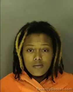 Recent Mugshot Image for BRANDASHA SHAQUANNA RIGGINS in Horry County, South Carolina