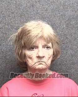 Recent Mugshot Image for LISA FRANKLIN EVANS in Horry County, South Carolina