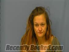 Recent Mugshot Image for MEGAN WEDDLE in Saline County, Arkansas
