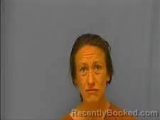 Recent Mugshot Image for ASHLEY BOROWICZ in Saline County, Arkansas