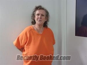 Recent Mugshot Image for Rena Faye Shepherd in Searcy County, Arkansas