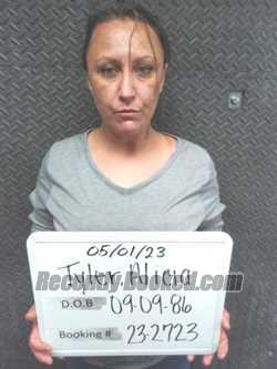 Recent Booking / Mugshot for Alicia Lynn Tyler in Sebastian County
