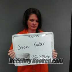 Recent Mugshot Image for Amber Rose Castro in Sebastian County, Arkansas