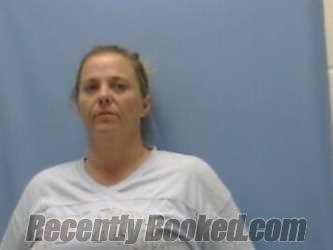 Recent Mugshot Image for ALISHA MITCHELL in Sevier County, Arkansas