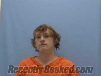 Recent Mugshot Image for BRANDON HOUSE in Sevier County, Arkansas