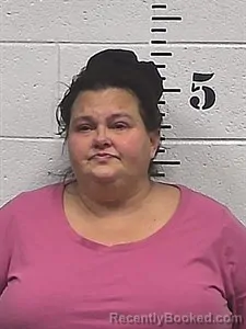 Recent Mugshot Image for Crystal Noel Pierce in Sharp County, Arkansas