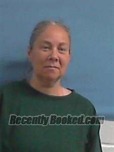 Recent Mugshot Image for Sunny ELIZABETH LONG in Stone County, Arkansas