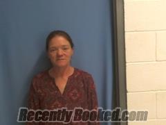 Recent Mugshot Image for Julie Ann Jackson in Van Buren County, Arkansas
