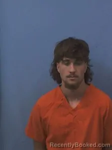 Recent Mugshot Image for Dakota Lane Brown in Van Buren County, Arkansas