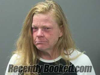 Recent Mugshot Image for Denise Ryan in Washington County, Arkansas