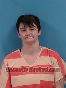 Recent Mugshot Image for Dana Elizabeth Brown in White County, Arkansas