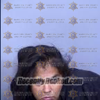 Recent Mugshot Image for Ashley Ann Salinas in Maricopa County, Arizona