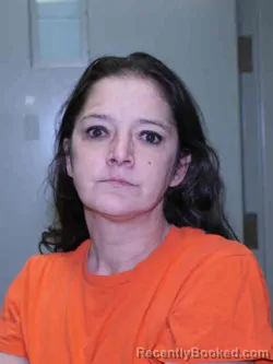 Recent Mugshot Image for AMBER NICHOLE SHIELDS in Adams County, Iowa