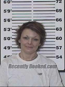 Recent Mugshot Image for BRANDI NICOLE EXLINE in Appanoose County, Iowa