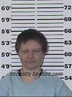 Recent Mugshot Image for SHEENA LORRINE SIBERT in Appanoose County, Iowa