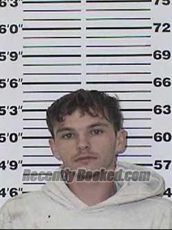 Recent Mugshot Image for TRAVIS ALLEN REINIER in Appanoose County, Iowa