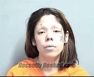 Recent Booking / Mugshot for ARLENE THERESA BELL in Dallas County, Iowa