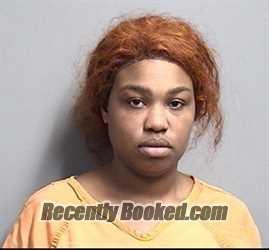 Recent Mugshot Image for TIERRA TO NETT FRE SHA JOHNSON CALVIN in Dallas County, Iowa