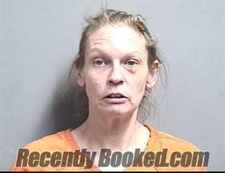 Recent Mugshot Image for JULIE ELIZABETH JOHNSON in Dallas County, Iowa