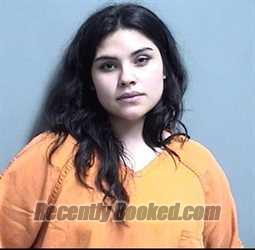 Recent Mugshot Image for ROBYN RAIN STEEVE in Dallas County, Iowa