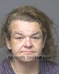 Recent Mugshot Image for NICOLE LINDSAY FORD in Dubuque County, Iowa