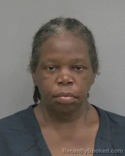 Mugshot of LAURA DANTAVIA TYSON booked in Alachua County, Florida on May 26, 2026
