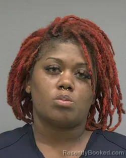 Mugshot of JEREANNE YAISSA WILLIAMS booked in Alachua County, Florida on April 4, 2026