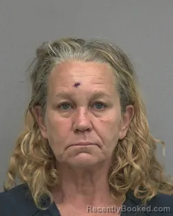 Mugshot of LISA DEANNA HODGE booked in Alachua County, Florida on April 1, 2026