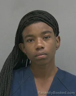 Mugshot of SHANESHA JACQUELINE YOUNG booked in Alachua County, Florida on May 29, 2026