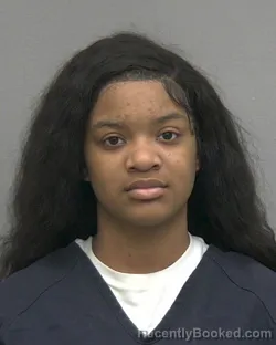 Mugshot of LATERIA JANICE KELLY booked in Alachua County, Florida on March 26, 2026