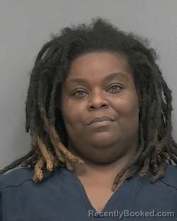 Mugshot of JOCELYN M HILL booked in Alachua County, Florida on April 3, 2026