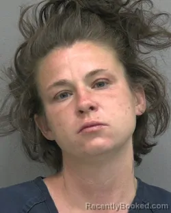 Mugshot of PAIGE MAXINE DREYFUSS booked in Alachua County, Florida on April 24, 2026