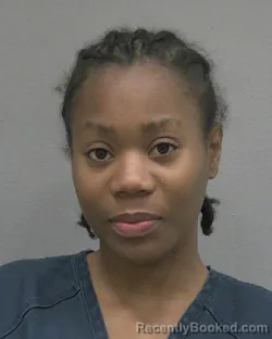 Mugshot of ELIZABETH RECHELLE MITCHELL