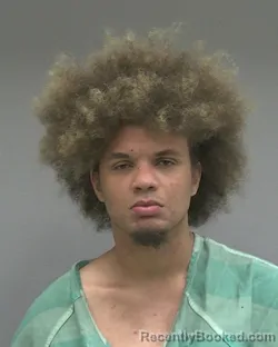 Mugshot of TARNARDUS LAVO FORD