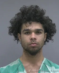 Booking photo from Alachua County, Florida