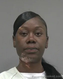 Booking photo from Alachua County, Florida