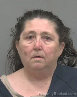 Mugshot of Beverly Sue Hollriegel booked in Alachua County, Florida on October 13, 2026