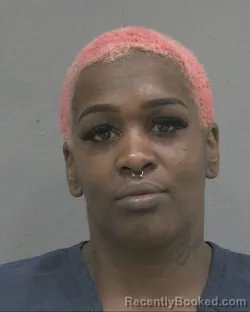 Mugshot of Shkia Lashawn Jackson booked in Alachua County, Florida on August 26, 2026